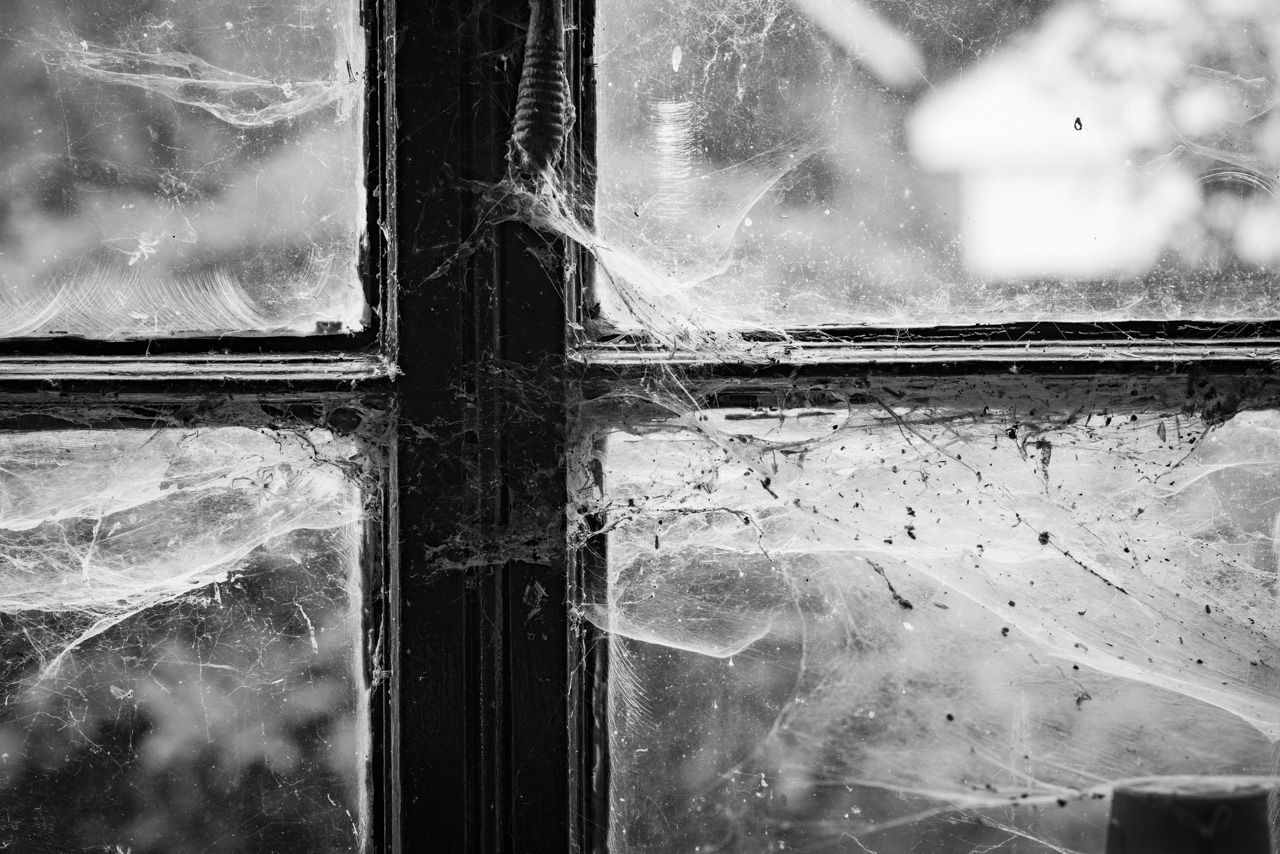 Cobwebs