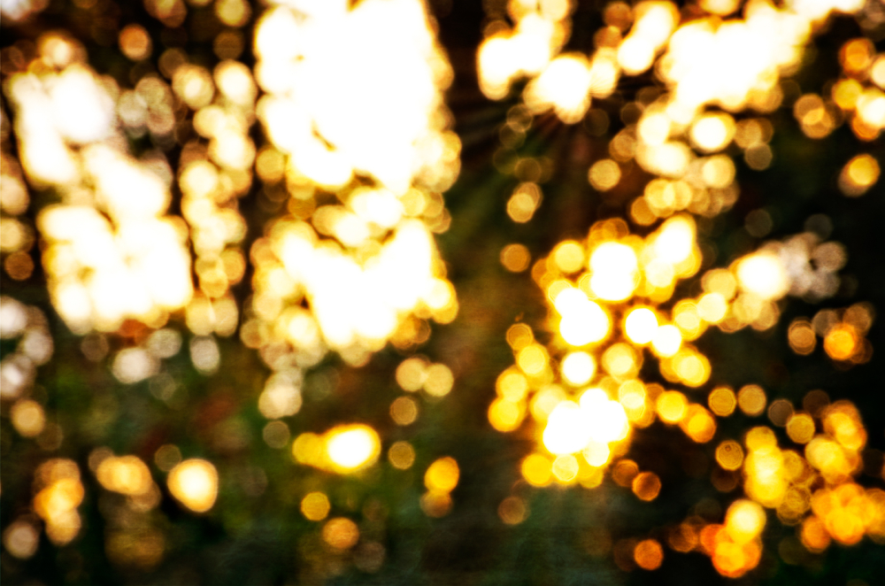 Autumn Sunset