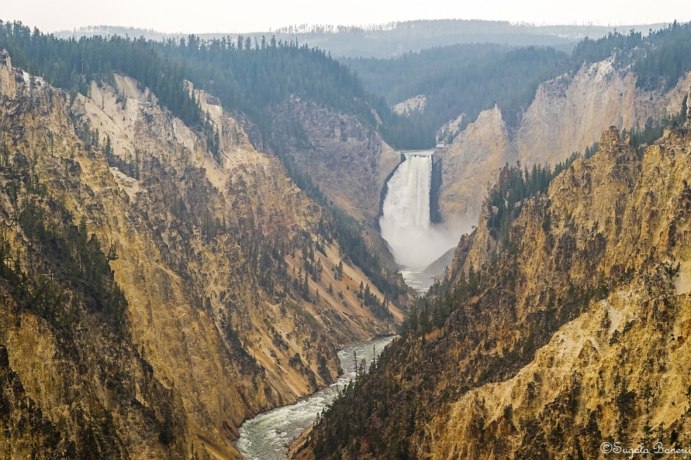 Lower Falls of the Yellowstone River