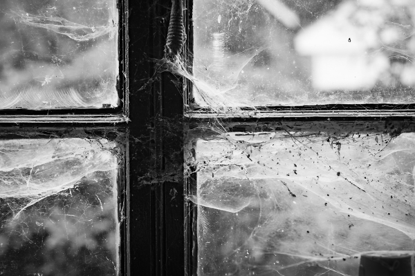 Cobwebs