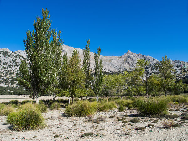 Landscape of the North, Majorca