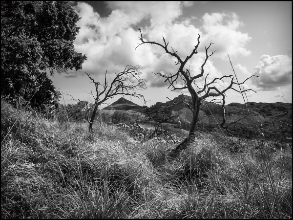 Mountains of the Levant, Majorca
