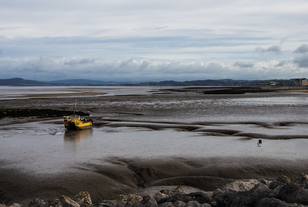 'Please moor in marked bays'