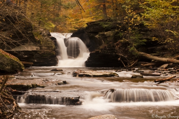 Ricketts Glen