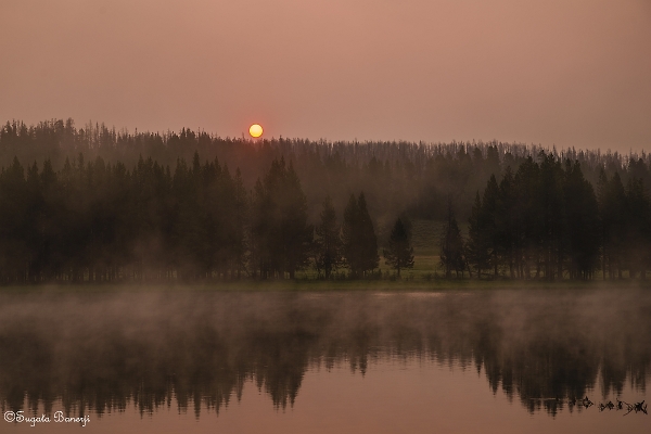 Yellowstone Sunrise