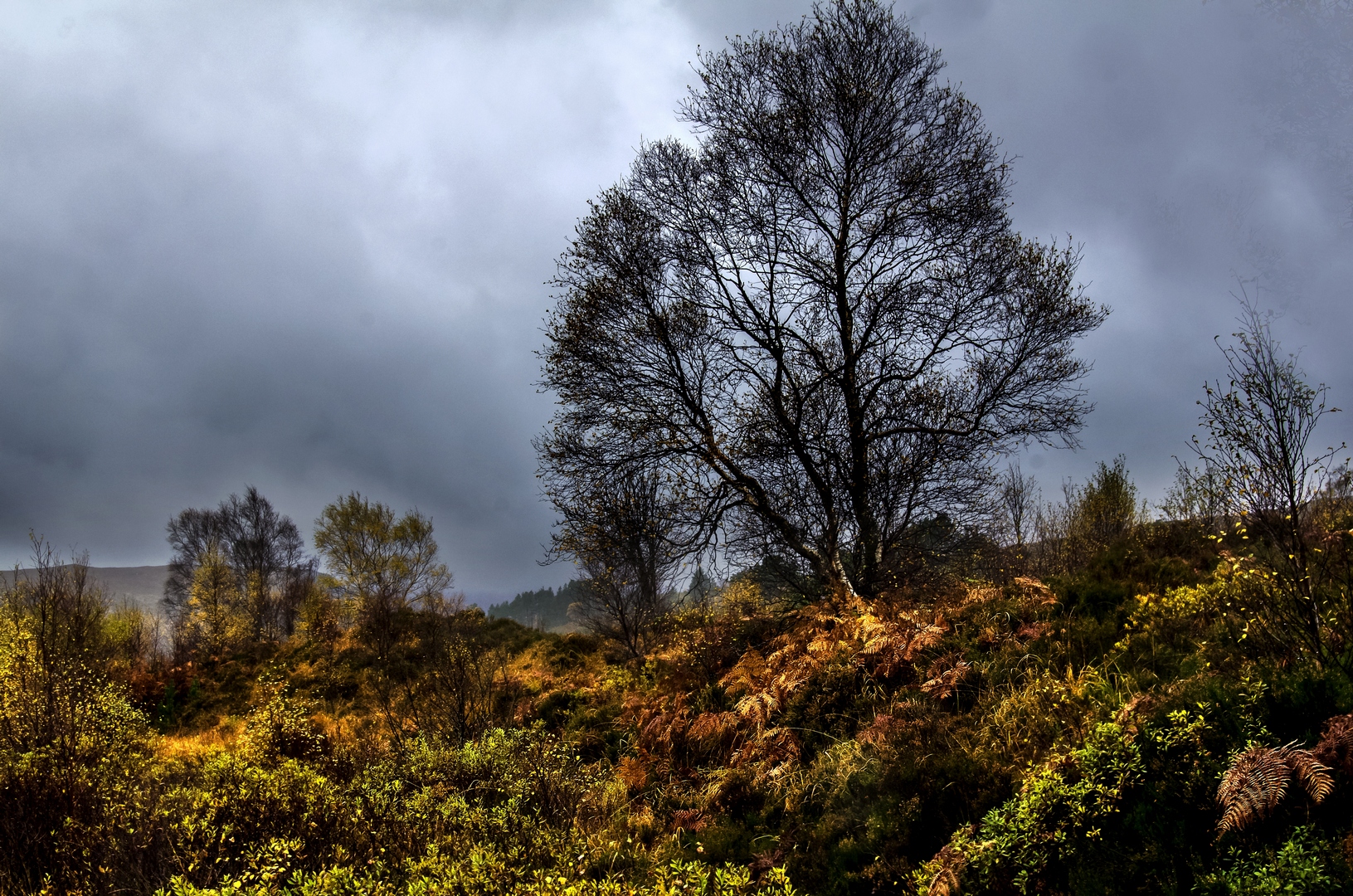 Autumn in Torridon