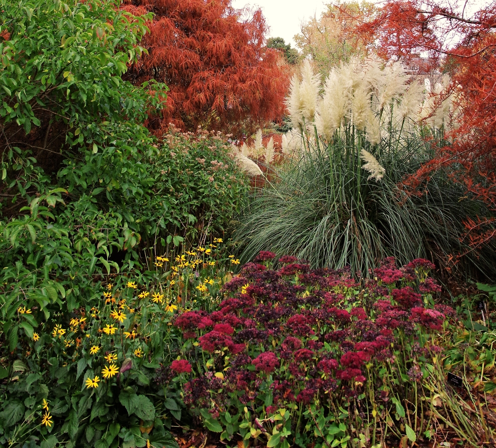 Autumn Colours