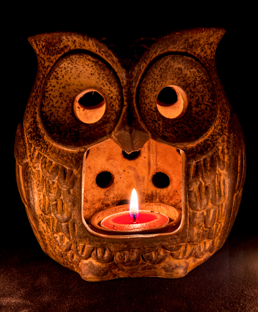 Candle Light Owl