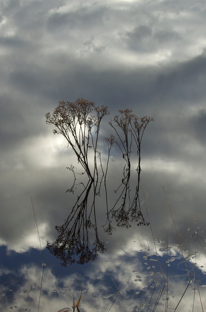 On Reflection
