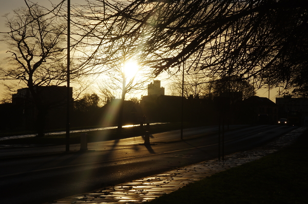 Bright morning in Hyde Park