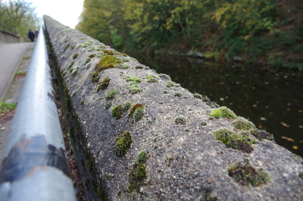 Canal footbridge