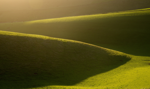 contours of dark and light