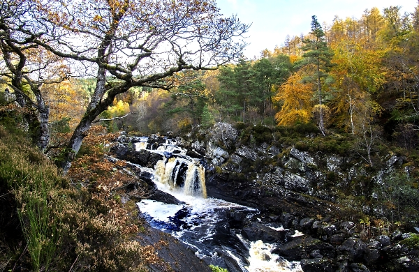 Falls of Rogie
