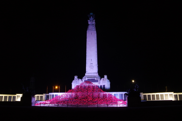 Poppy Wave at night