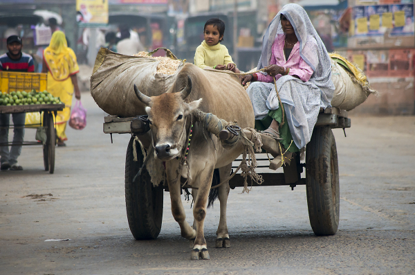 The Female Carriage