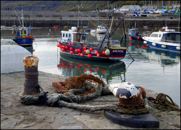 The Harbour, Lyme Regis