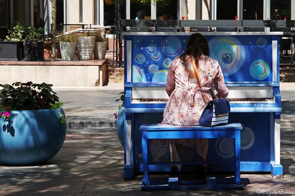 The Street Pianist