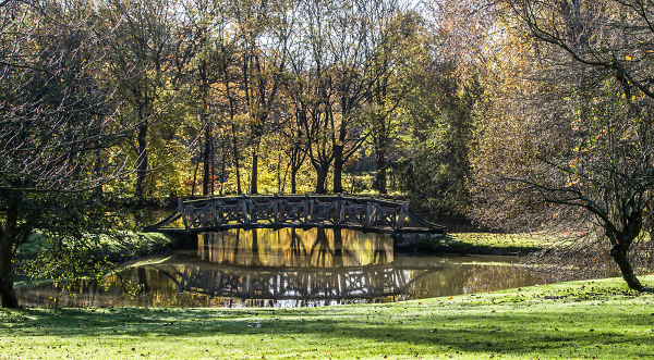 The wildfowl bridge