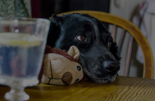 Waiting for Lunch