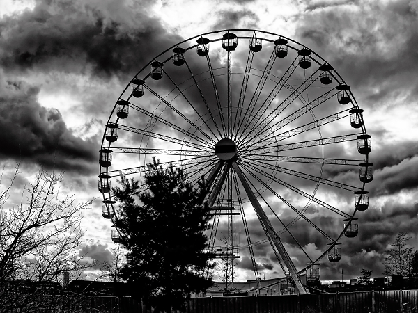 Wheel