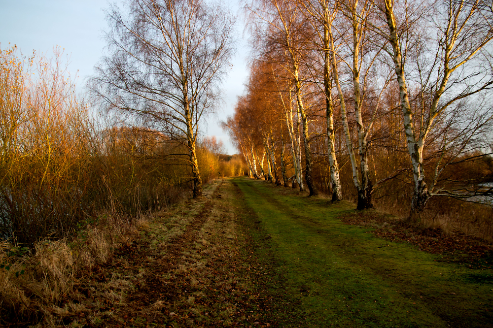 The Footpath