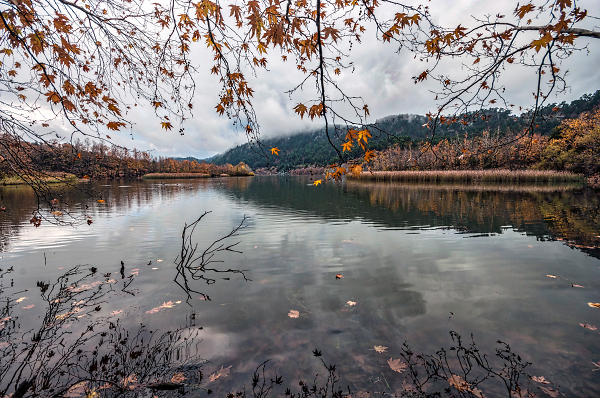 A Cove, Kovoda Lake