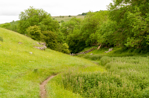 Cales Dale