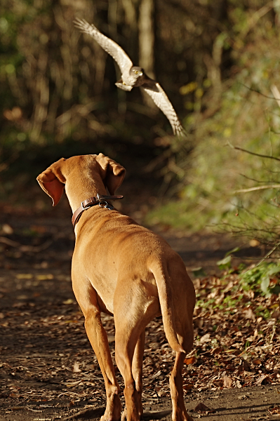 Incoming!