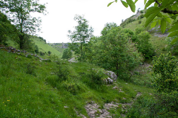 Lathkill Dale