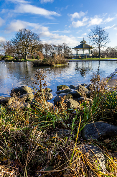 Park lake