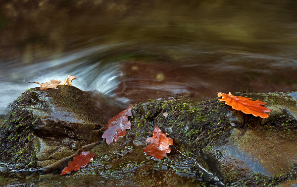 Stillness and Swirls