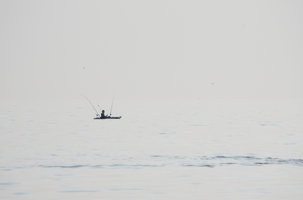fishing