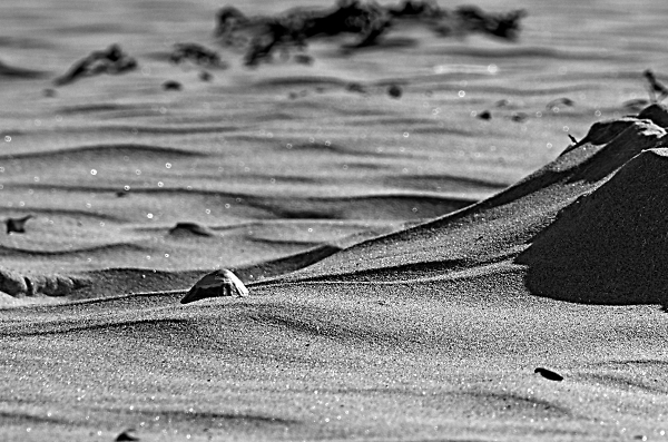 Greyscale limpet