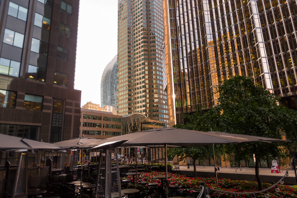 Little Oasis Amid the Uproar