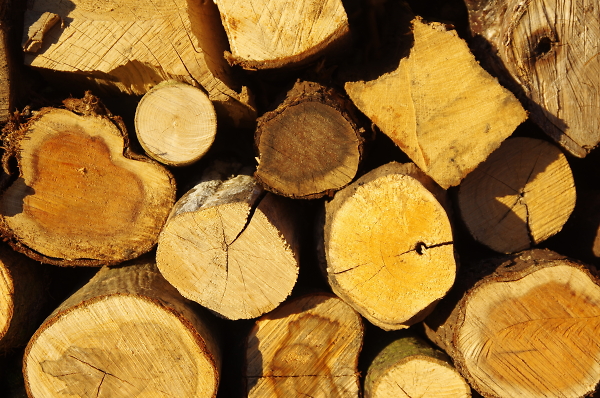 Logs