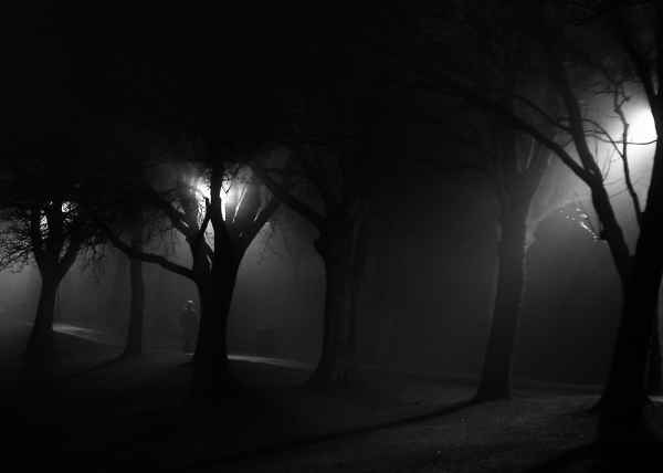 Out of the Fog..2