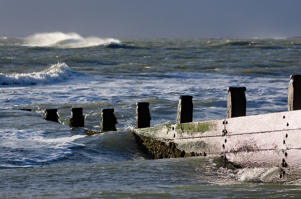 sea