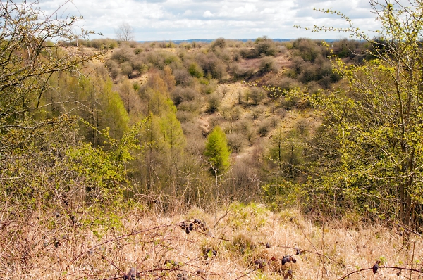 The Fauld Crater