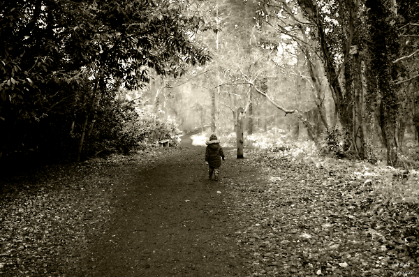 Walk in the cold