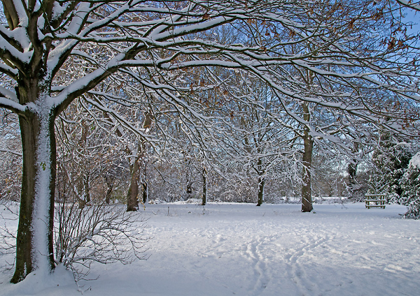 Winters chill