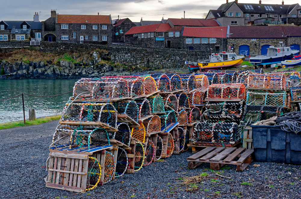 Craster lobster pots