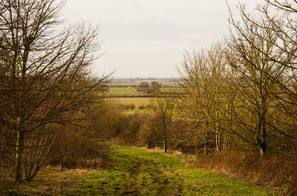 Green Lane