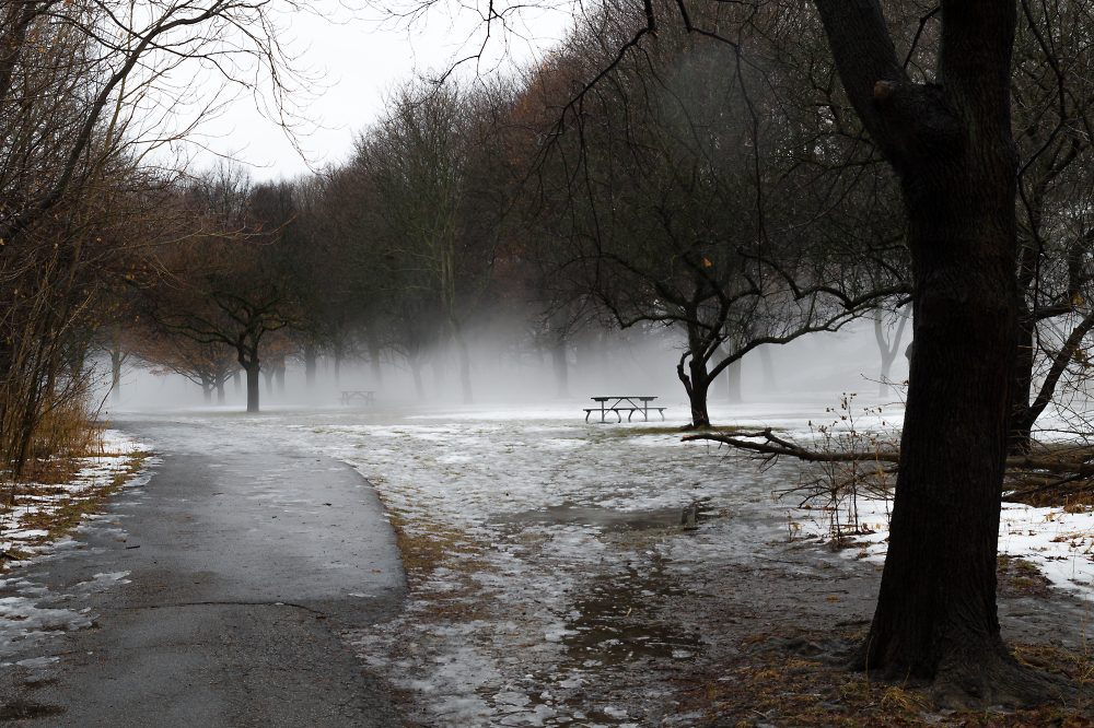 Ground Fog 2