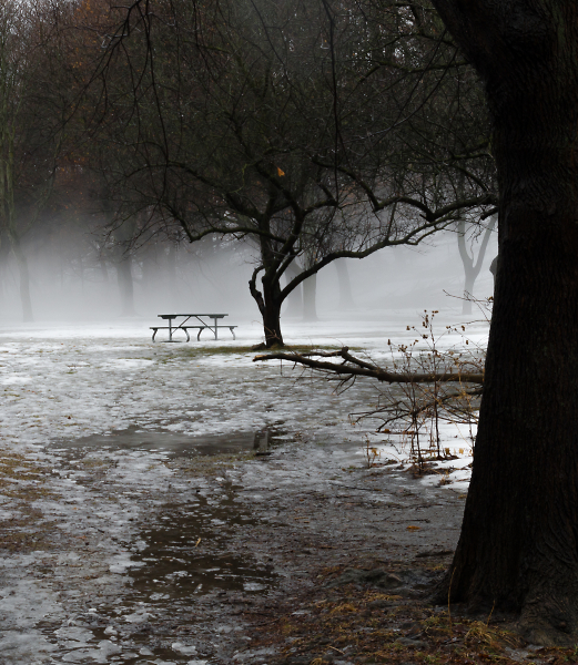 Ground Fog 9