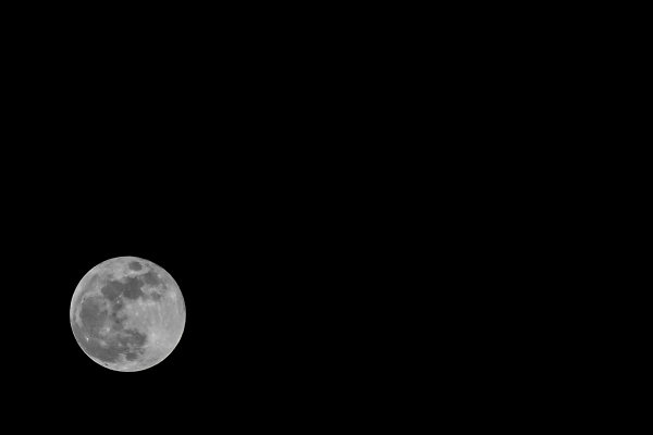 The moon rises