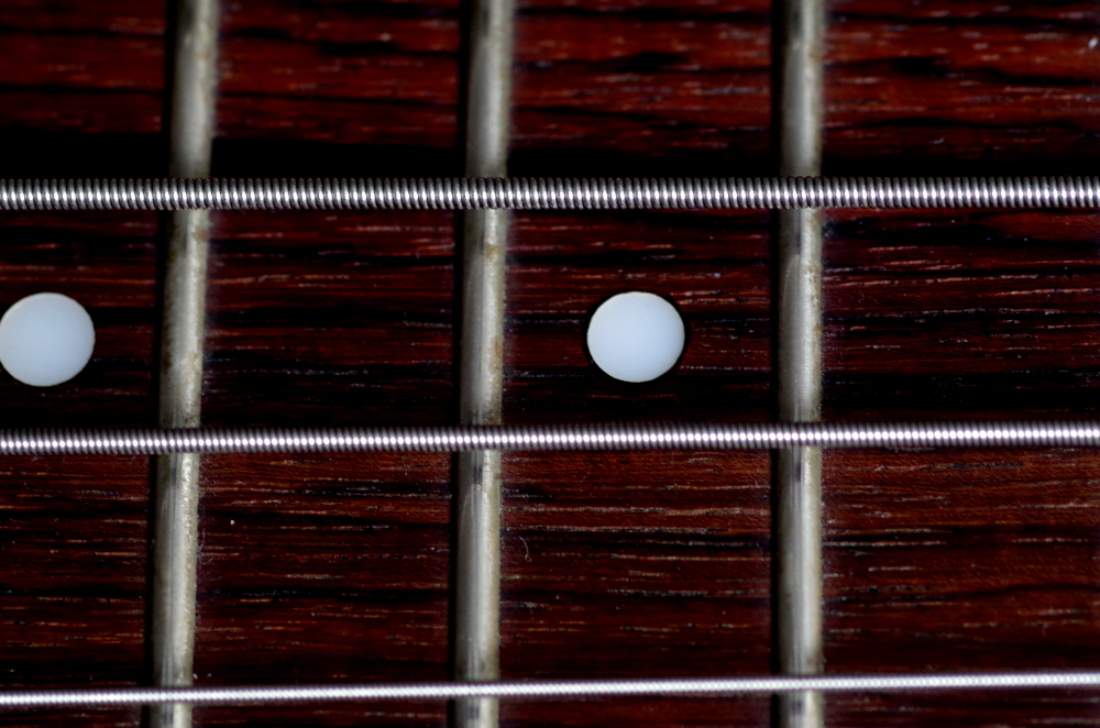 Strings and Frets