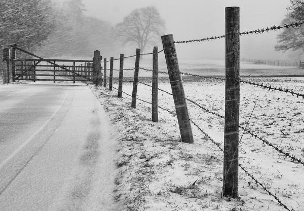 Snowing