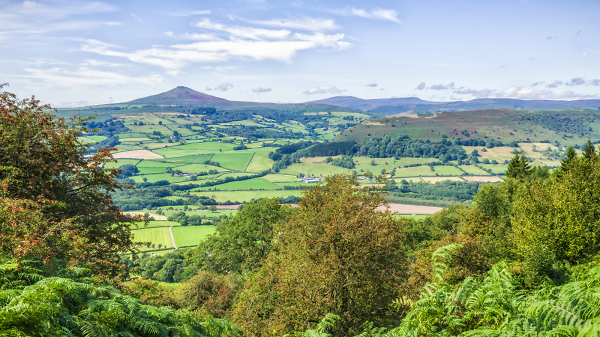 The Sugar Loaf