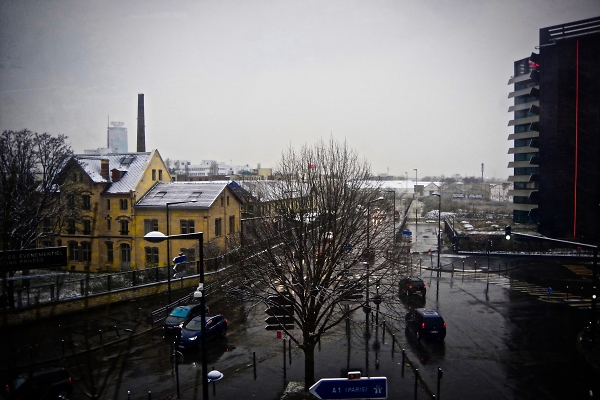 Urban greenery.