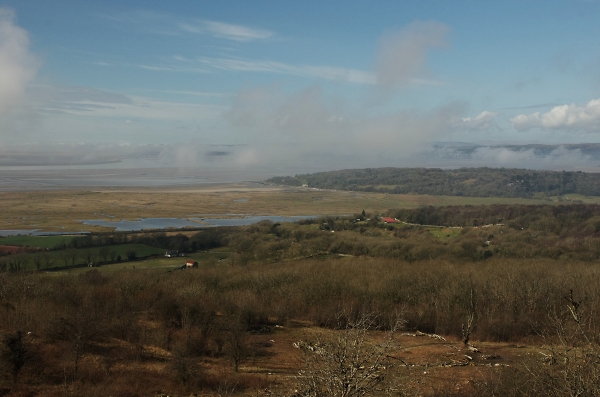 Warton View
